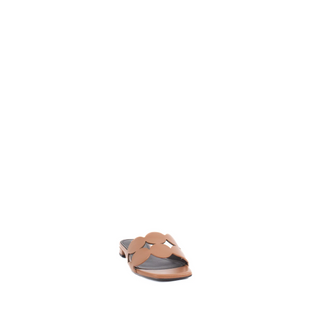 Onami Mule Camel