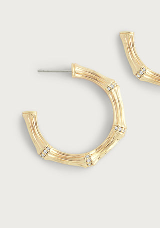 Bamboo Medium Hoop Earrings Gold