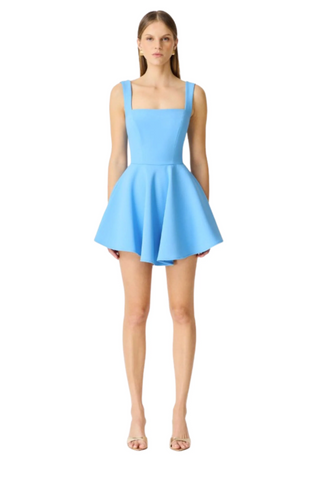 Dali A Line Mini Dress