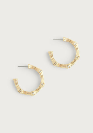 Bamboo Medium Hoop Earrings Gold