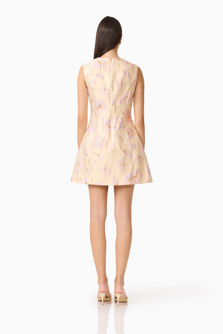 Carys A-Line Mini Dress
