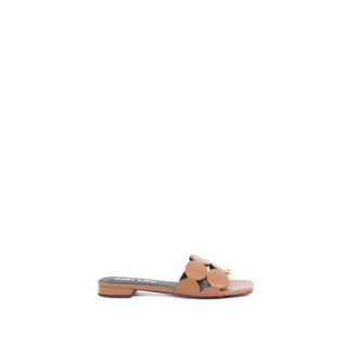 Onami Mule Camel