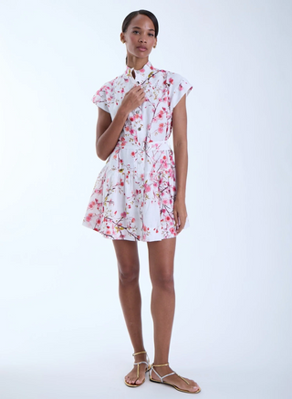 Zelie Print Mini Dress