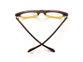 D28 Reading Glasses