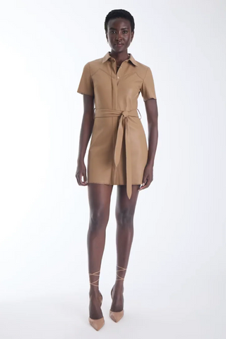 Mallie Vegan Leather Mini Dress