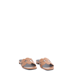 Onami Mule Camel